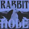 Explicit DJ - Rabbit Hole - Single